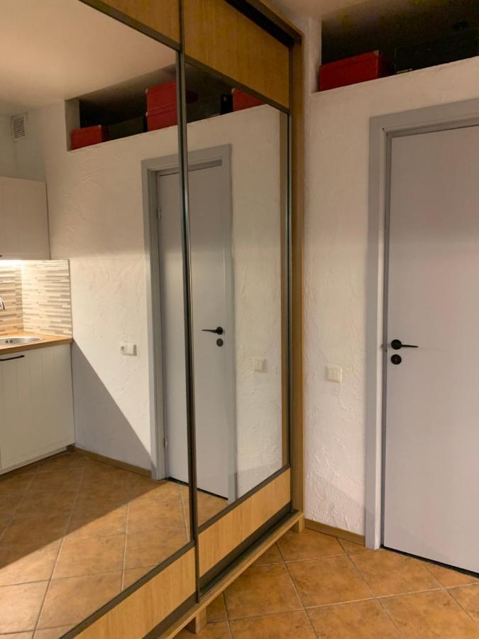 Old Studio Apartment Βίλνιους Εξωτερικό φωτογραφία